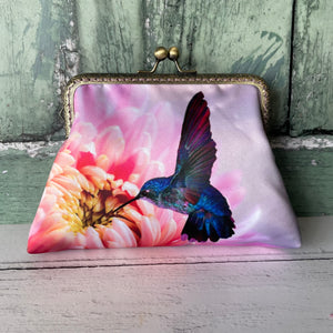 Beautiful Birds and Feathers Collection