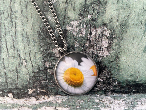 White Leucanthemum Daisy Print Glass Cabochon Pendant Necklace