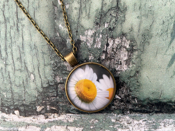 White Leucanthemum Daisy Print Glass Cabochon Pendant Necklace