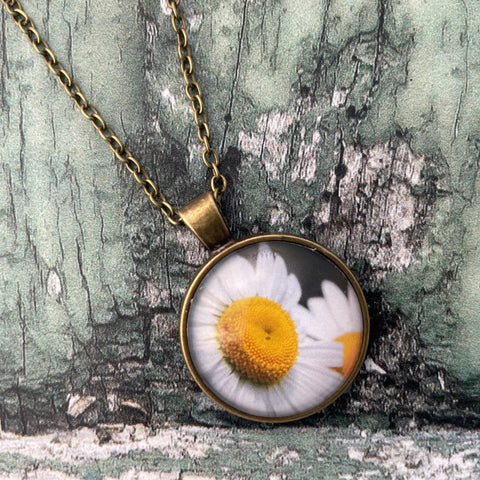 White Leucanthemum Daisy Print Glass Cabochon Pendant Necklace