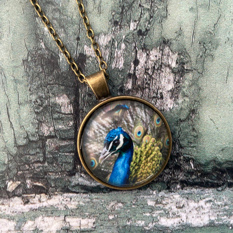 Blue Peacock Bird Print Glass Cabochon Pendant Necklace