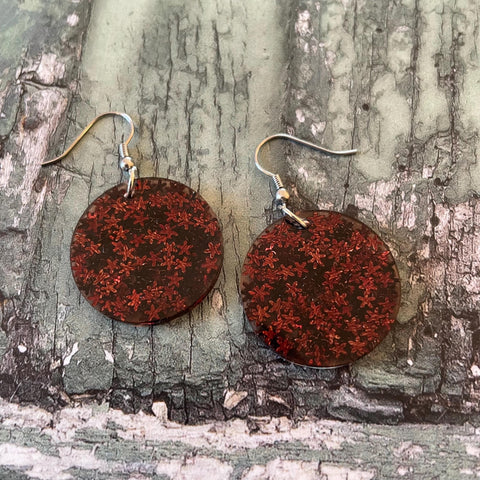 Amber Stars Glitter Round Dangle Stainless Steel Hook Earrings