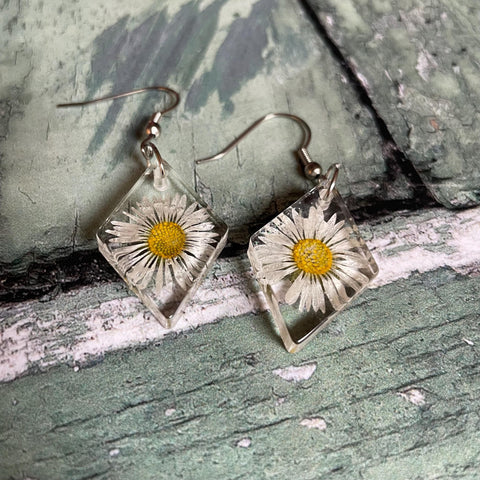 Irish White Daisy Floral Flower, County Mayo, West of Ireland, Resin Earrings with Stainless Steel Hooks